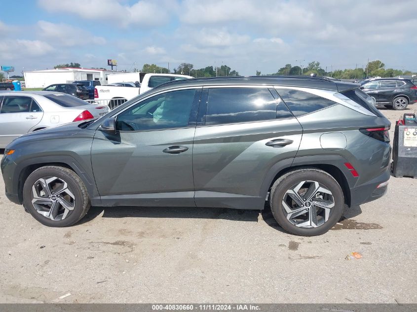 2023 Hyundai Tucson Limited VIN: 5NMJE3AE7PH173767 Lot: 40830660