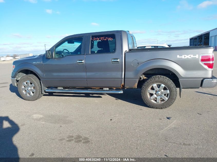 VIN 1FTFW1EF7EFB60828 2014 FORD F-150 no.14