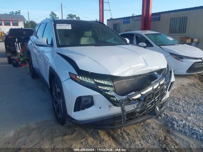 2024 HYUNDAI TUCSON  (VIN: 5NMJE3DE1RH334578)