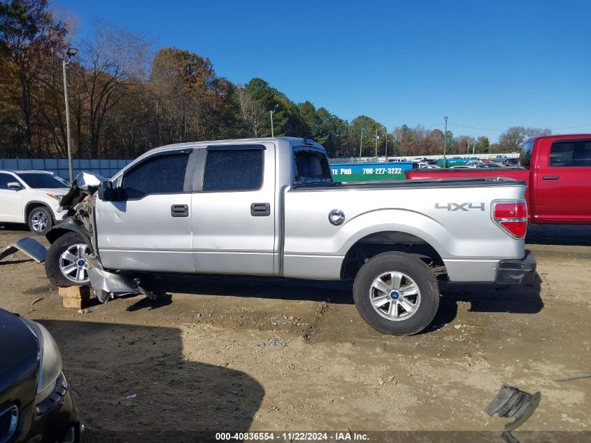 2010 Ford F-150 Xl/Xlt VIN: 1FTFW1E84AFB81261 Lot: 40836554