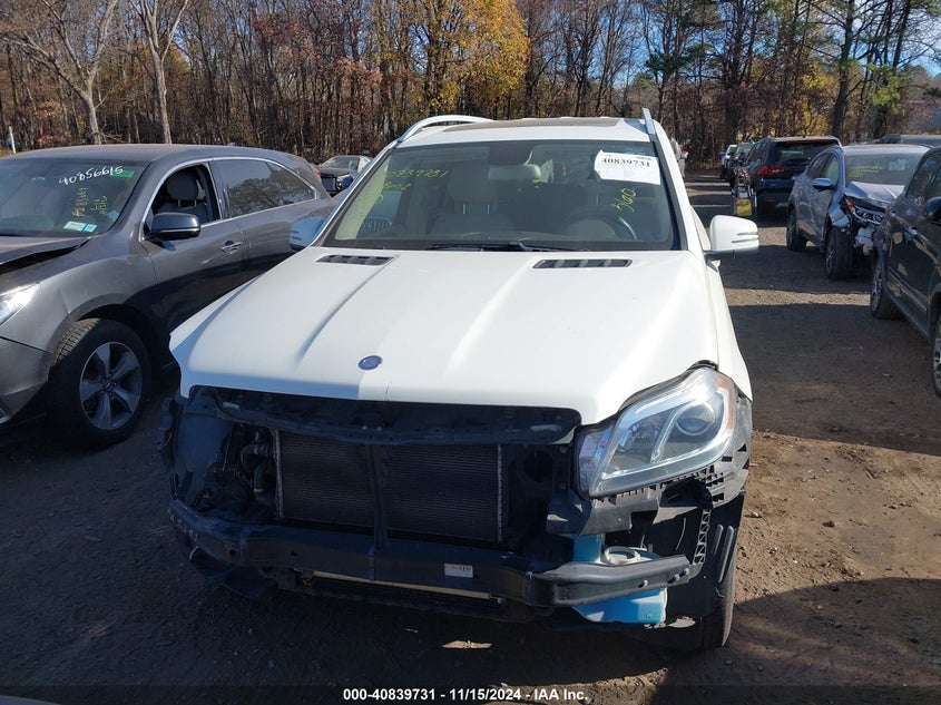 2013 MERCEDES-BENZ GL 450 4MATIC - 4JGDF7CE3DA111833