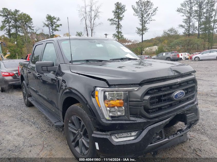 2023 Ford F-150 Xlt VIN: 1FTEW1C55PFC29282 Lot: 40841993