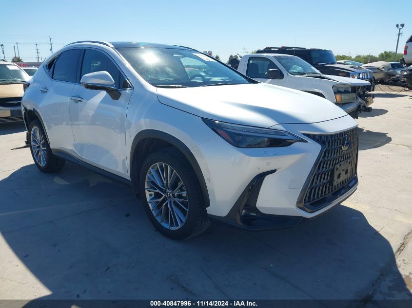 2022 Lexus NX 350H, Luxury