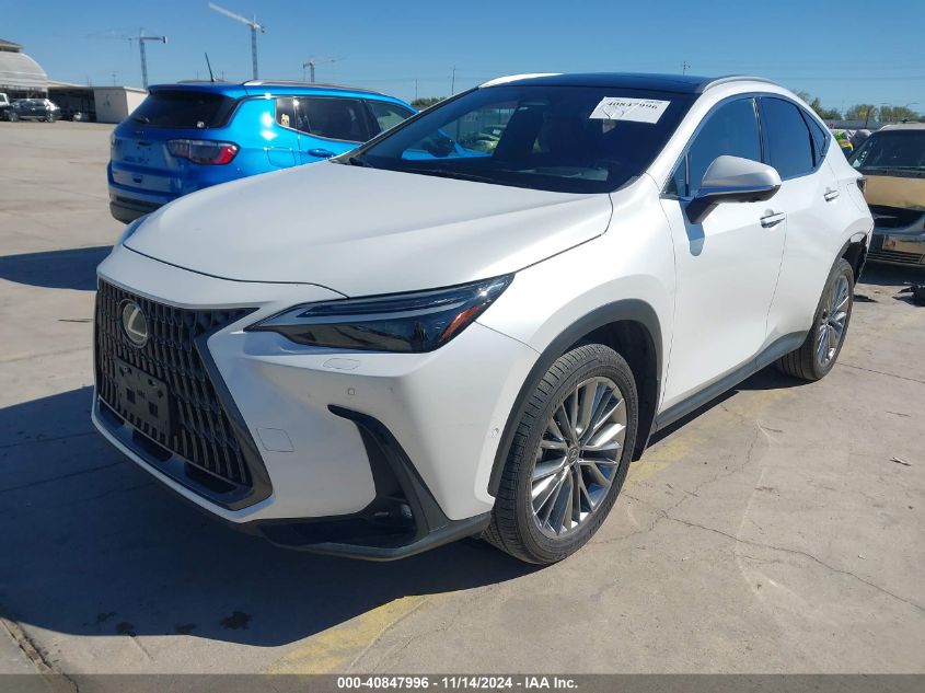 VIN JTJHKCEZXN5004487 2022 Lexus NX 350H, Luxury no.2