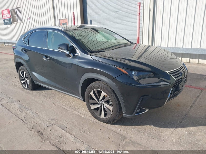 Vin: jtjyarbz8k2132623, lot: 41338870, lexus nx 300 2019 img_1