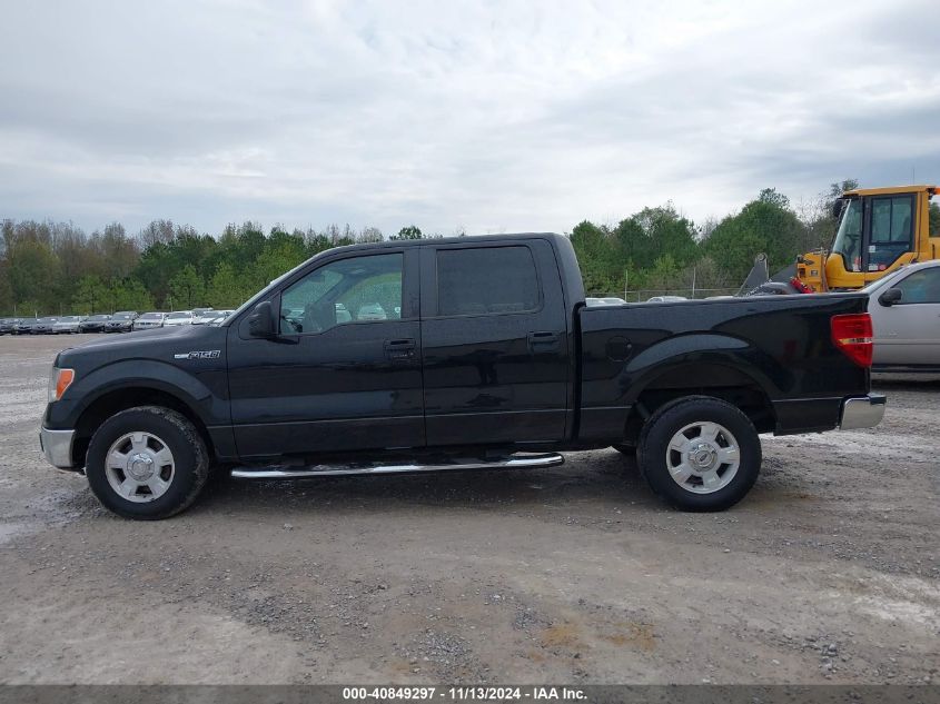 2013 FORD F-150 XLT - 1FTFW1CF9DFB91645