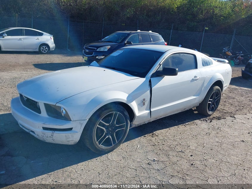 2006 FORD MUSTANG VIN: 1ZVHT80N465245834