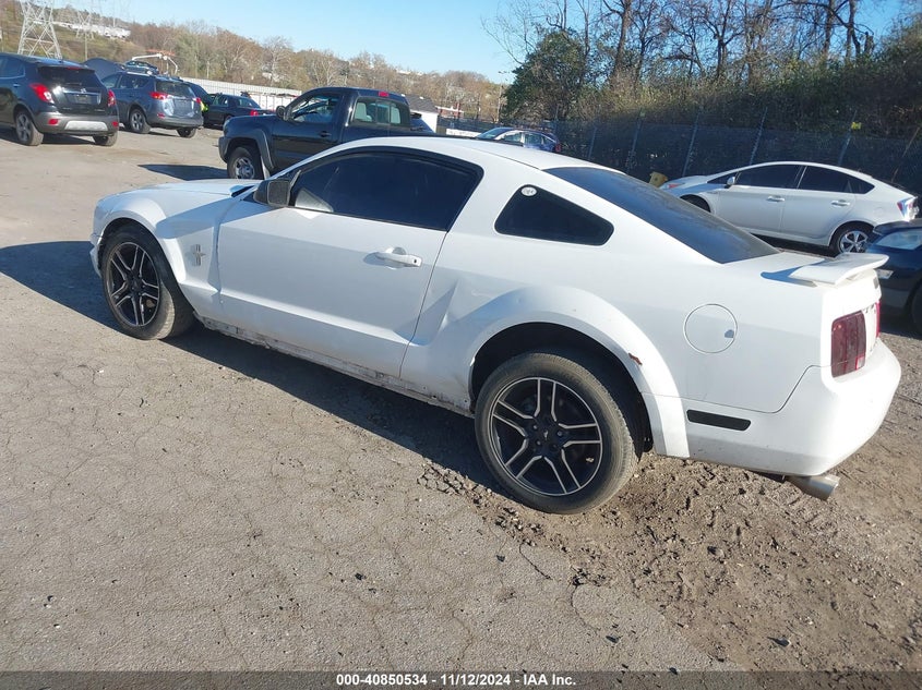 2006 FORD MUSTANG VIN: 1ZVHT80N465245834