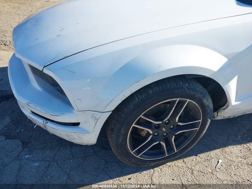 2006 FORD MUSTANG VIN: 1ZVHT80N465245834
