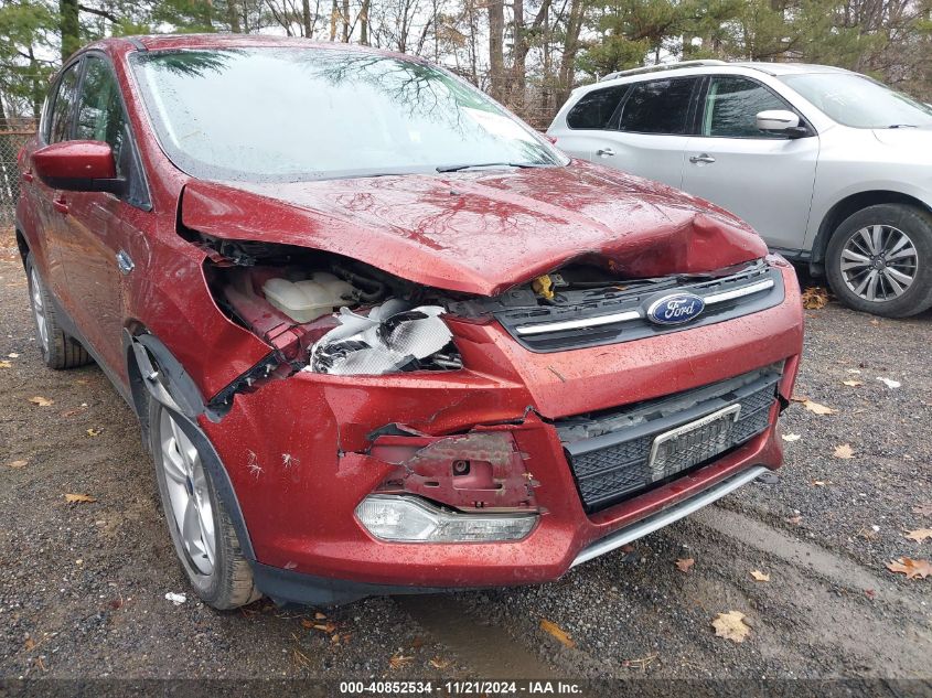 2014 Ford Escape Se VIN: 1FMCU0GX3EUA78532 Lot: 40852534