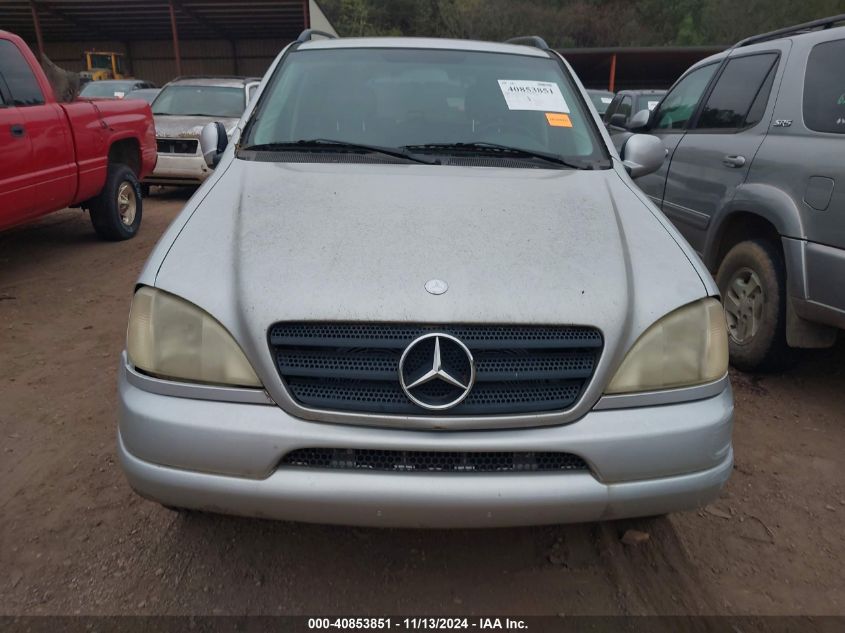 2000 Mercedes-Benz Ml 320 VIN: 4JGAB54E2YA166670 Lot: 40853851