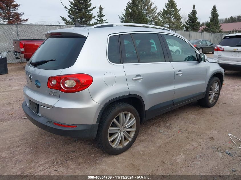 2010 Volkswagen Tiguan Wolfsburg Edition VIN: WVGBV7AX7AW513433 Lot: 40854709