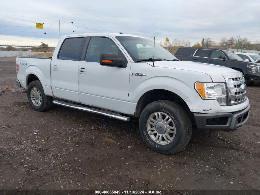 2010 Ford F-150 Fx4/Harley-Davidson/King Ranch/Lariat/Platinum/Xl/Xlt VIN: 1FTFW1EV2AFC18524 Lot: 40855849