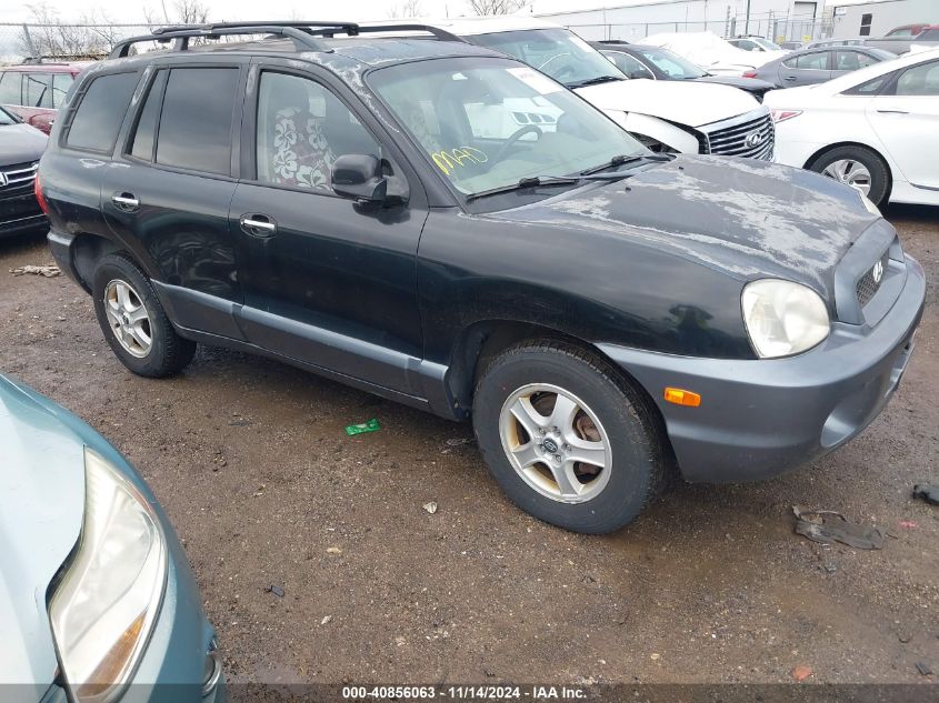 2004 Hyundai Santa Fe Gls/Lx VIN: KM8SC13E04U691246 Lot: 40856063