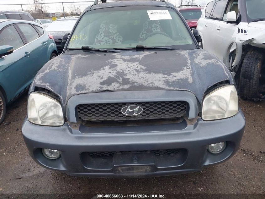 2004 Hyundai Santa Fe Gls/Lx VIN: KM8SC13E04U691246 Lot: 40856063