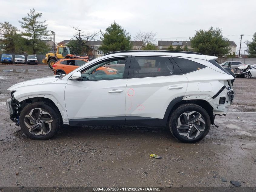 2024 Hyundai Tucson Limited VIN: 5NMJECDE2RH296939 Lot: 40857289