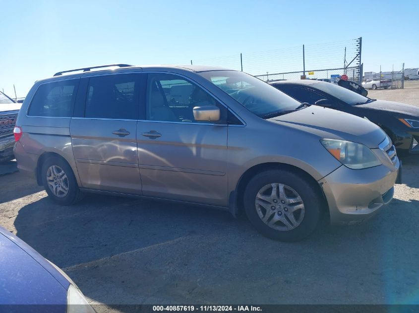 2007 Honda Odyssey Ex-L VIN: 5FNRL38647B053885 Lot: 40857619