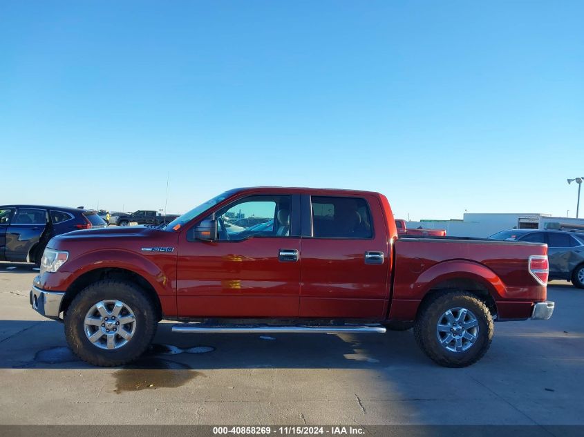 2014 Ford F-150 Xlt VIN: 1FTFW1CF1EKD00186 Lot: 40858269