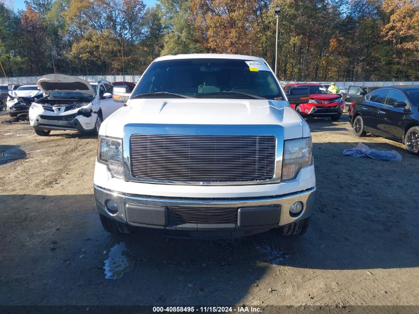 2013 FORD F-150 XLT - 1FTEW1CM5DFD70288