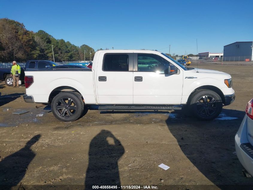 2013 Ford F-150 Xlt VIN: 1FTEW1CM5DFD70288 Lot: 40858495