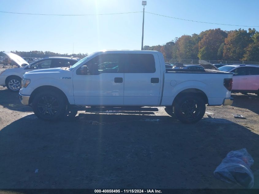 2013 Ford F-150 Xlt VIN: 1FTEW1CM5DFD70288 Lot: 40858495