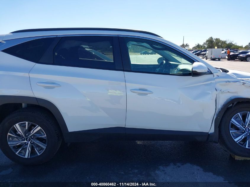 2024 Hyundai Tucson Hybrid Blue VIN: KM8JBCD17RU213273 Lot: 40860462