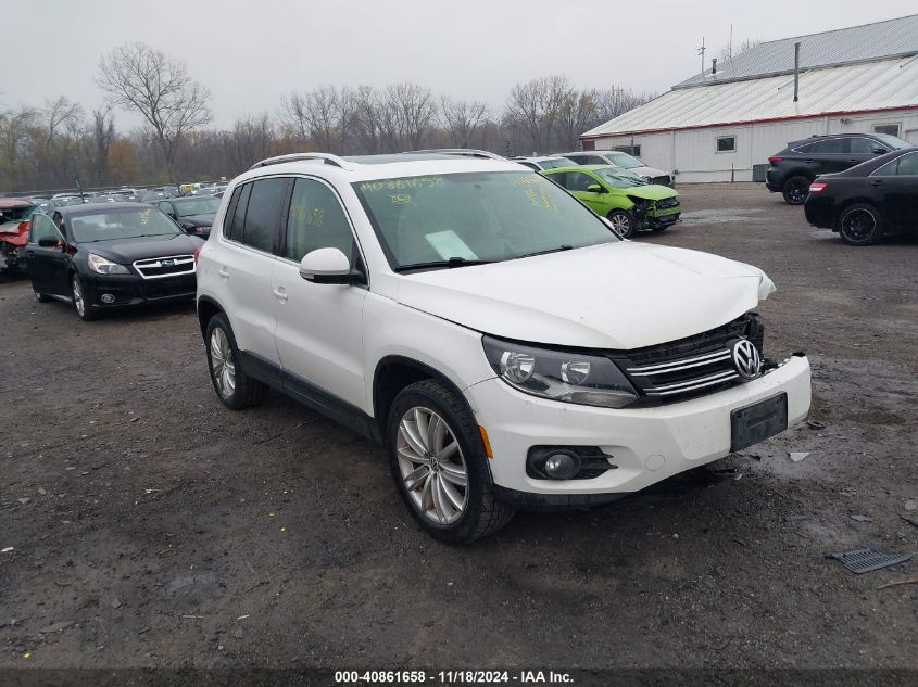 VIN WVGBV3AX5DW063309 2013 VOLKSWAGEN TIGUAN no.1