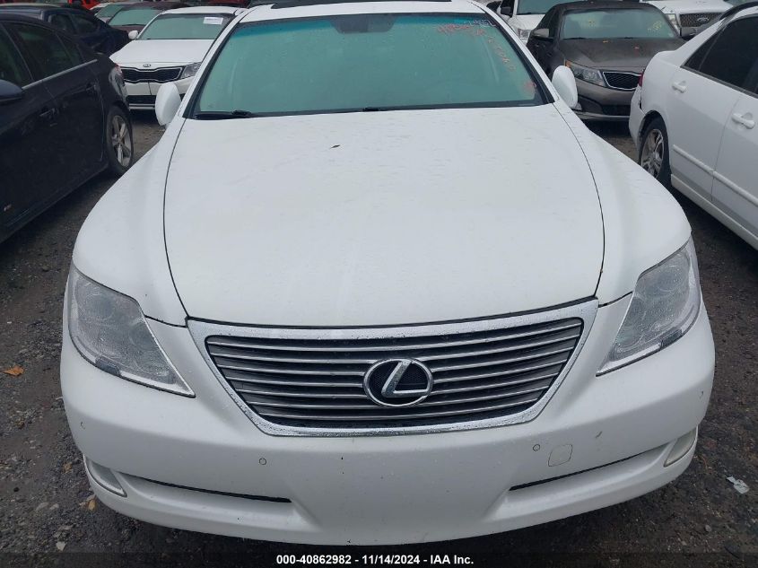 2009 Lexus Ls 460 VIN: JTHBL46F495090237 Lot: 40862982