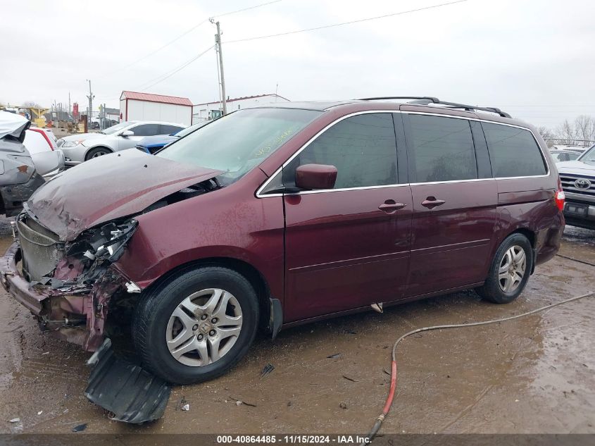 2007 Honda Odyssey Ex-L VIN: 5FNRL38717B431590 Lot: 40864485