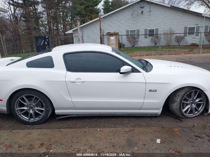 2013 FORD MUSTANG GT - 1ZVBP8CF6D5223622