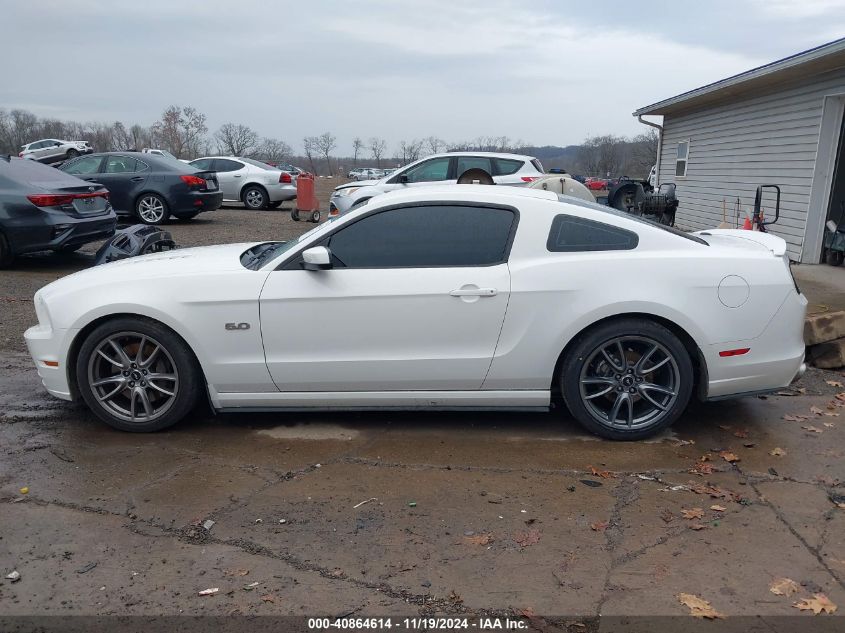 2013 Ford Mustang Gt Premium VIN: 1ZVBP8CF6D5223622 Lot: 40864614