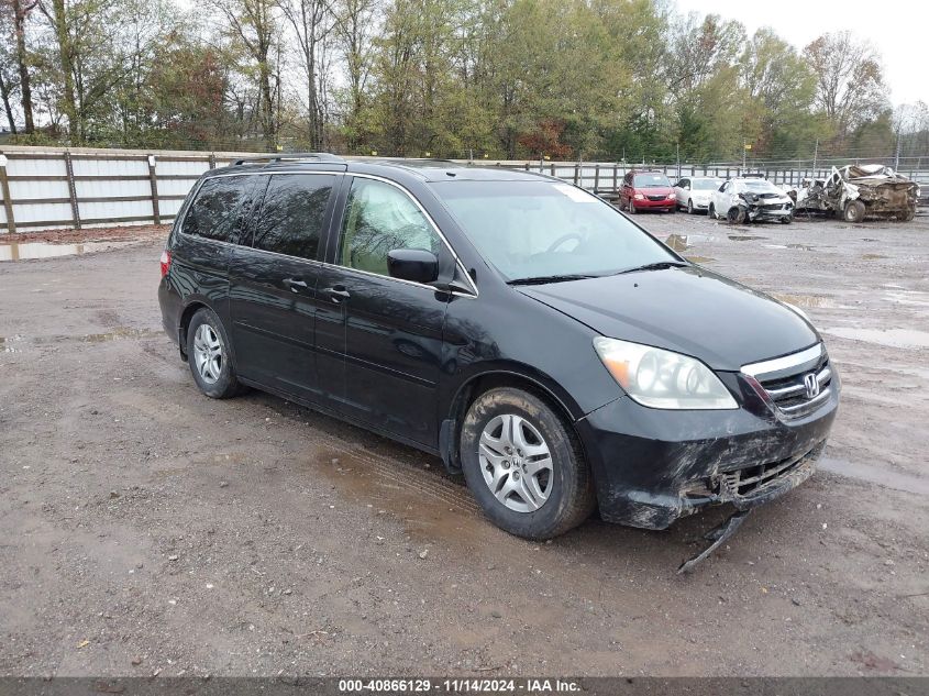 2005 Honda Odyssey Ex-L VIN: 5FNRL38615B054683 Lot: 40866129