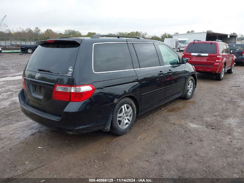 2005 Honda Odyssey Ex-L VIN: 5FNRL38615B054683 Lot: 40866129