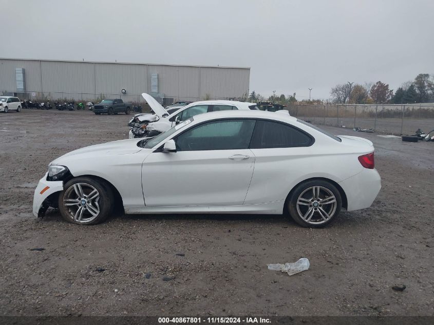 2016 BMW 228I xDrive VIN: WBA1G9C51GV727069 Lot: 40867801