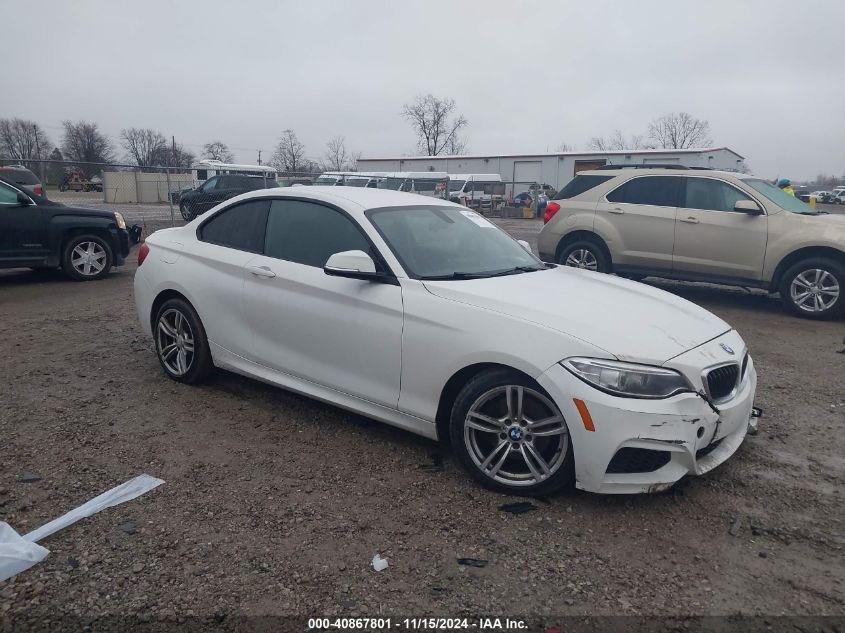 2016 BMW 228I xDrive VIN: WBA1G9C51GV727069 Lot: 40867801