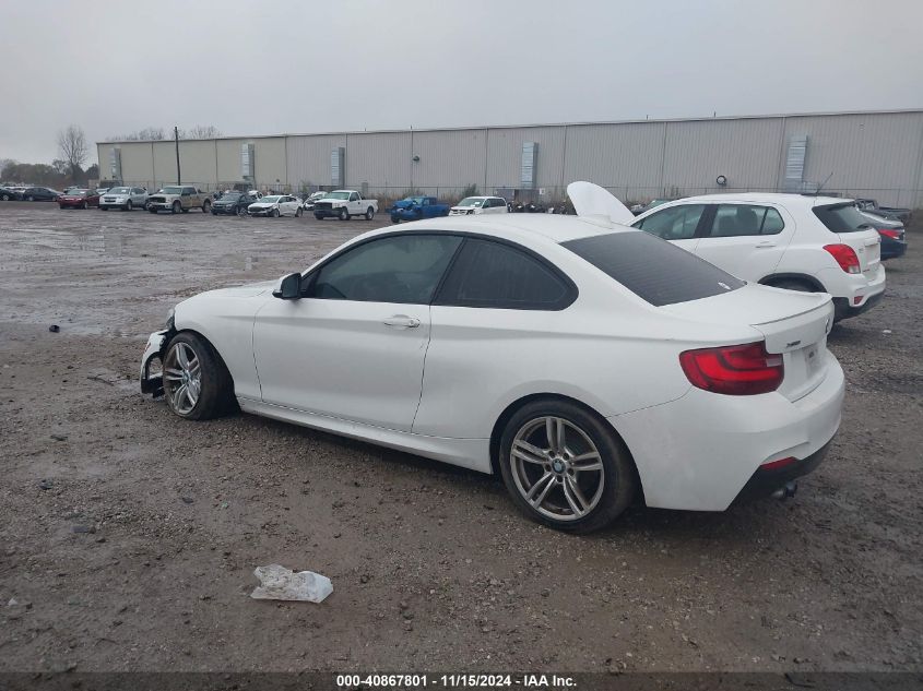 2016 BMW 228I xDrive VIN: WBA1G9C51GV727069 Lot: 40867801