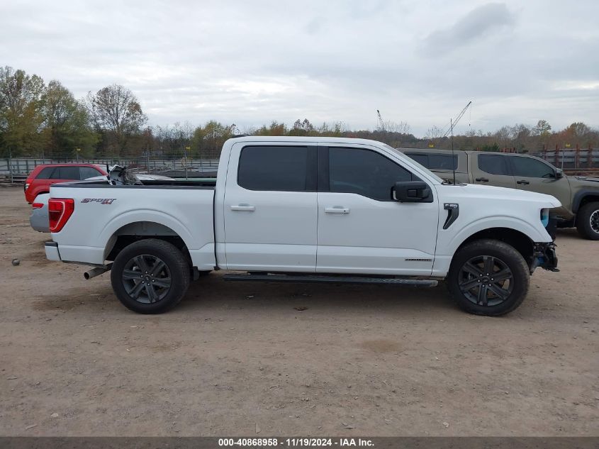 2023 Ford F-150 Xlt VIN: 1FTFW1EDXPFD06320 Lot: 40868958