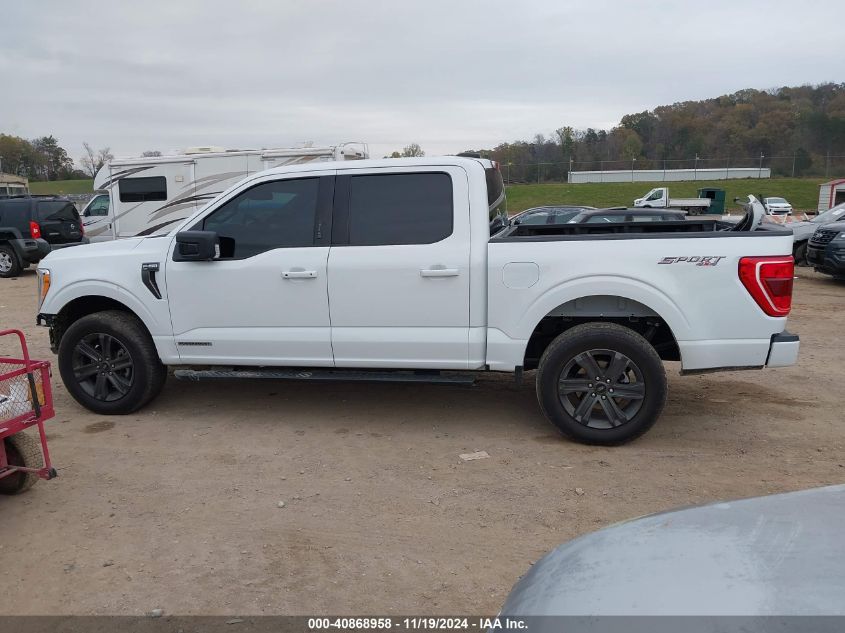 2023 FORD F-150 XLT - 1FTFW1EDXPFD06320