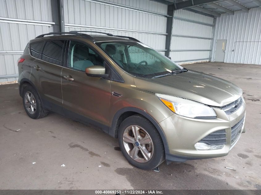 VIN 1FMCU0GX7DUC17253 2013 FORD ESCAPE no.1