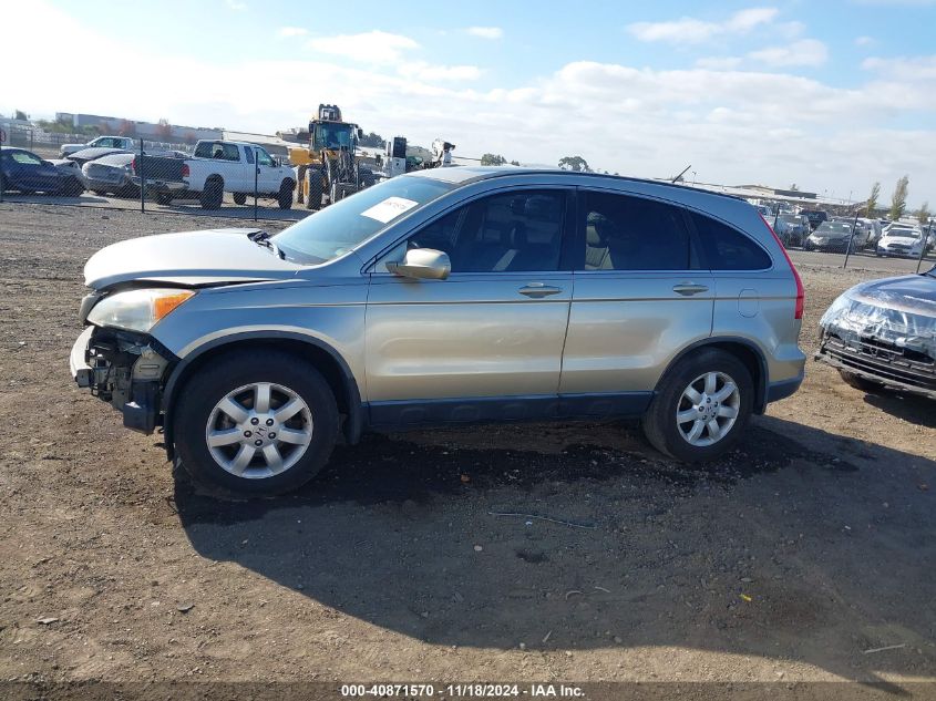 2007 Honda Cr-V Ex-L VIN: JHLRE38727C042869 Lot: 40871570