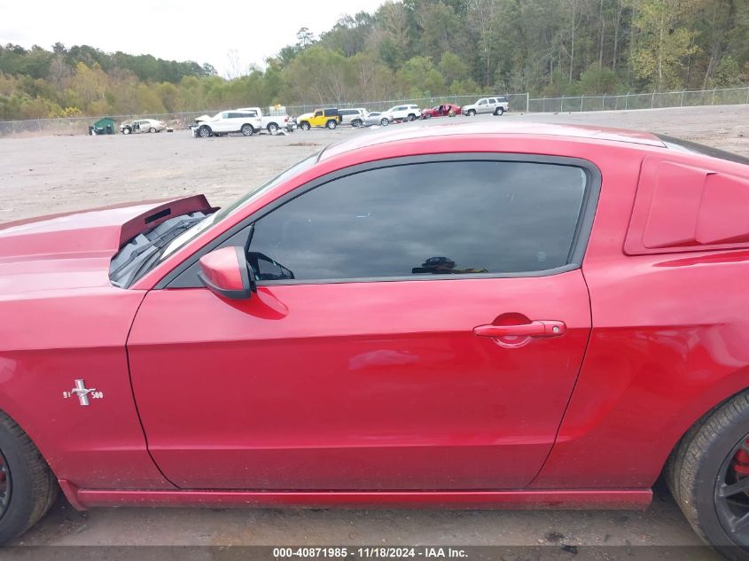 2013 Ford Mustang V6 Premium VIN: 1ZVBP8AM5D5254006 Lot: 40871985