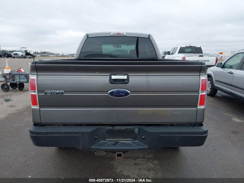 2010 Ford F-150 Stx/Xl VIN: 1FTEX1EW3AFA95317 Lot: 40872973