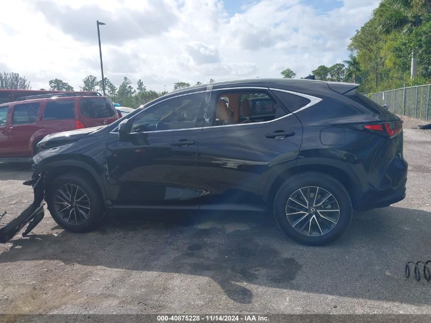 2025 Lexus Nx 250 VIN: 2T2ADCAZ7SC019768 Lot: 40875228