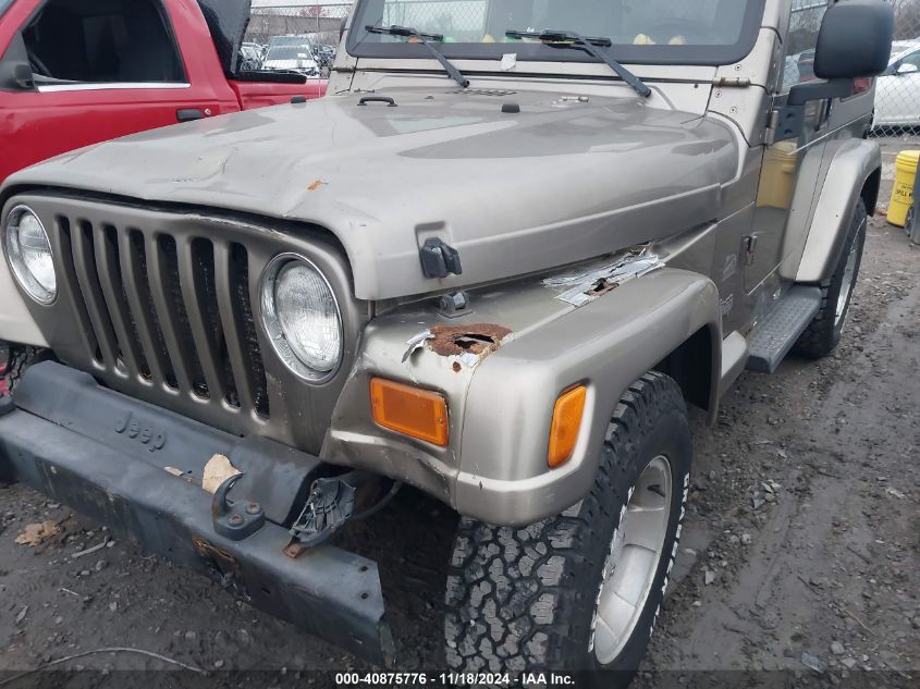 2003 Jeep Wrangler Sahara VIN: 1J4FA59S83P343234 Lot: 40875776