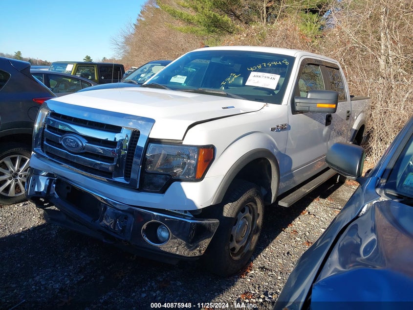 Vin: 1ftfw1ef6cfa26146, lot: 41365611, ford f-150 xlt 20122