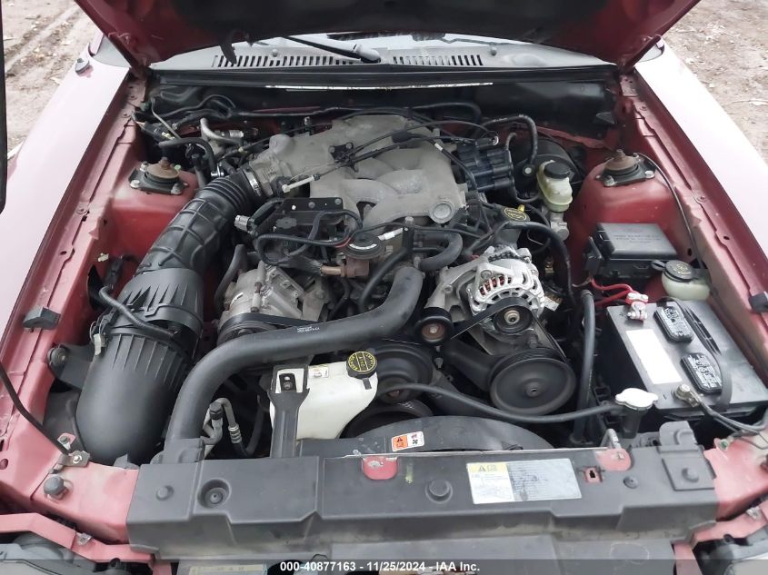 2004 Ford Mustang VIN: 1FAFP44484F108501 Lot: 40877163