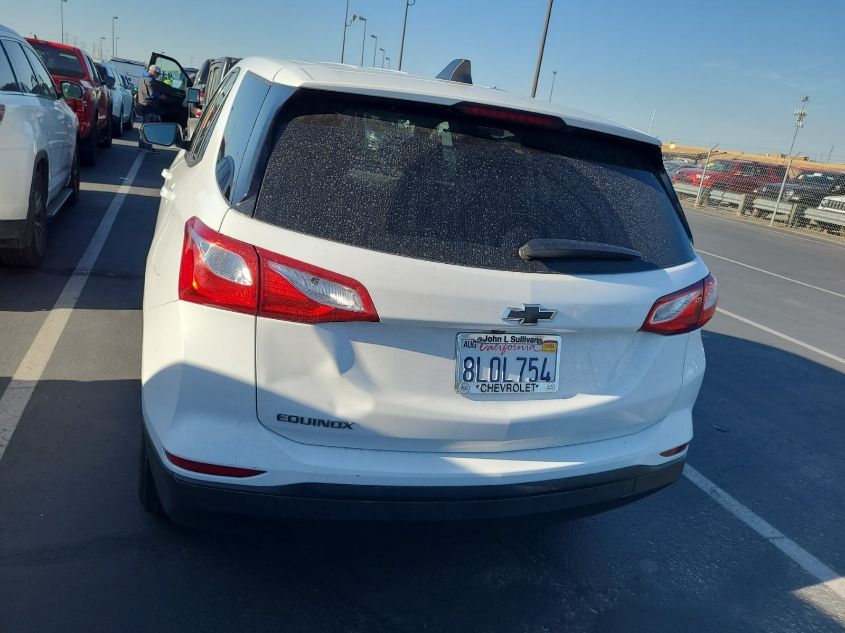 2019 Chevrolet Equinox Ls VIN: 2GNAXHEV4K6300497 Lot: 40878556