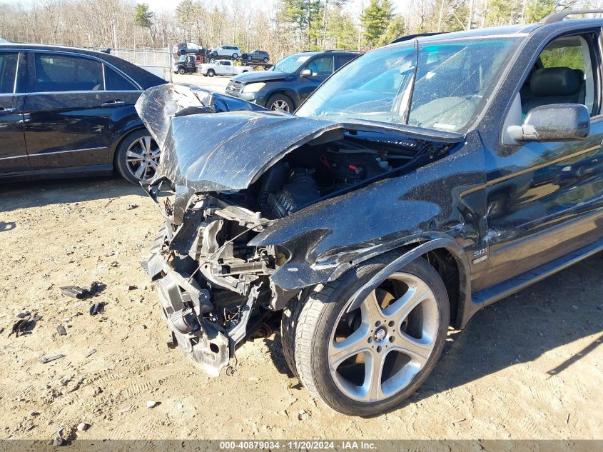 2006 BMW X5 3.0I VIN: 5UXFA13526LY31025 Lot: 40879034