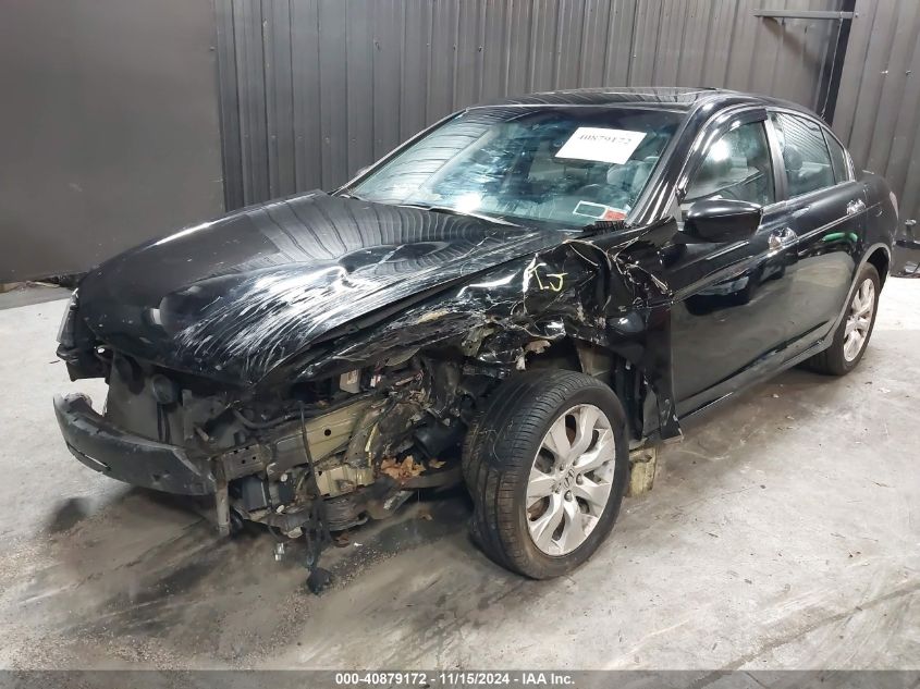 2010 Honda Accord 3.5 Ex-L VIN: 1HGCP3F82AA018052 Lot: 40879172