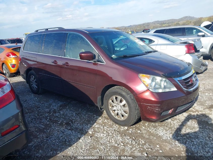 2009 Honda Odyssey Exl VIN: 5FNRL38749B406508 Lot: 40880003